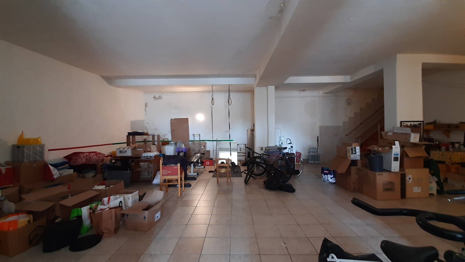 20230412_110947.jpg