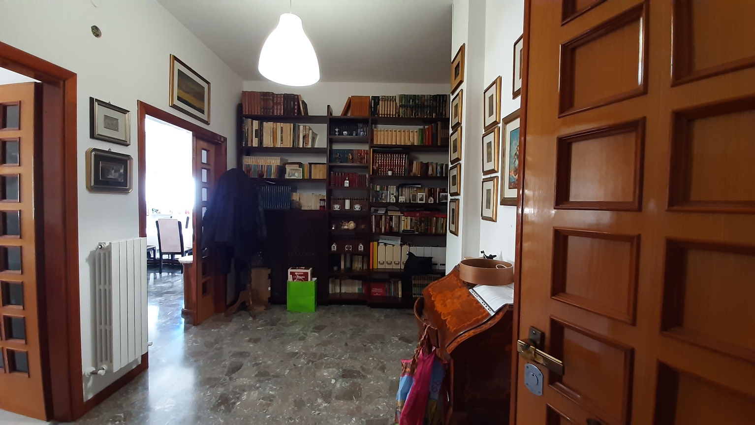 20230412_112242.jpg