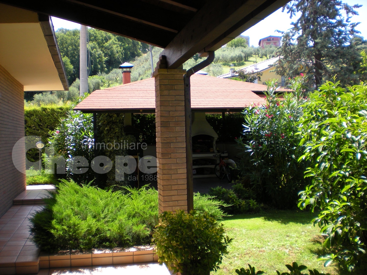DSCN1380.JPG