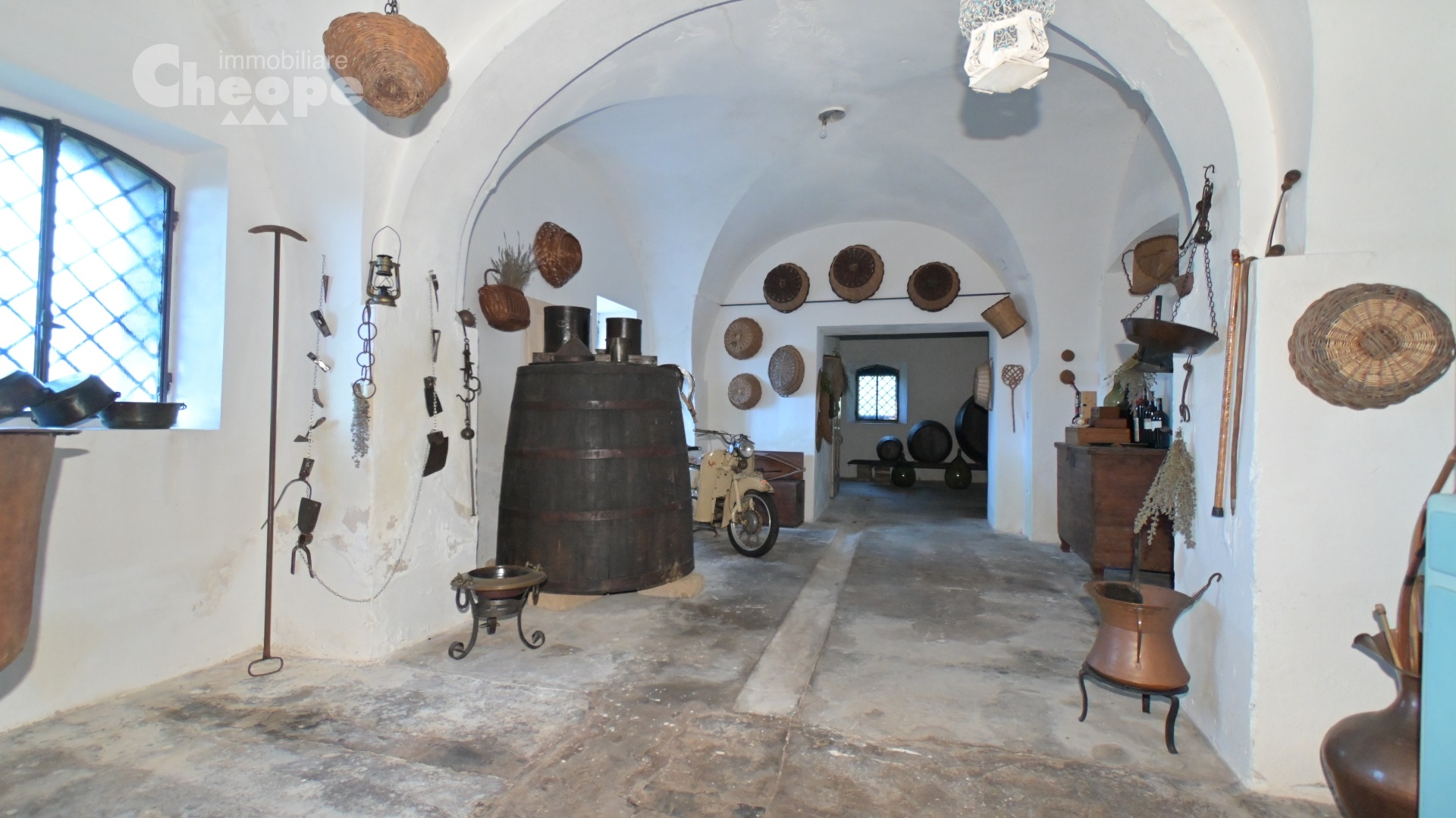 DSC_1511.JPG