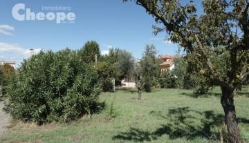 1.Terreno-Casale.JPG
