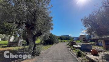 2.Terreno-Casale.jpg
