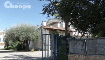 6.Terreno-Casale.JPG